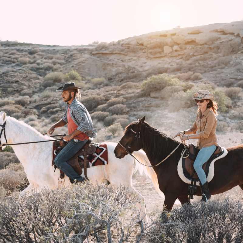 Horse Riding 
