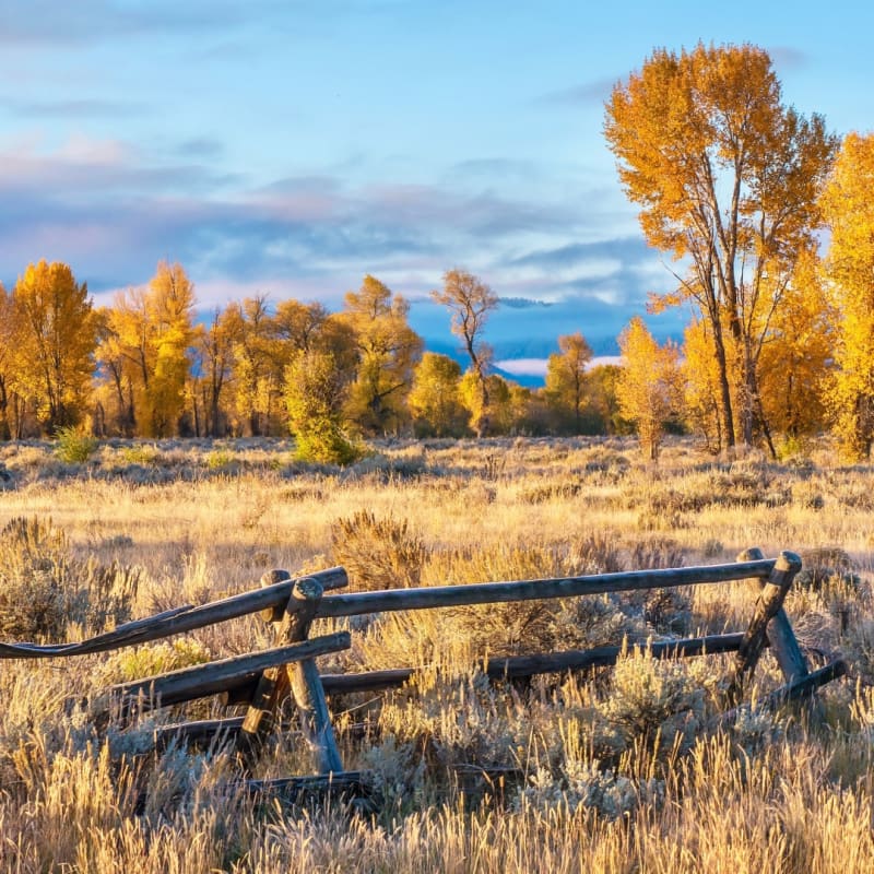 Jackson Hole 