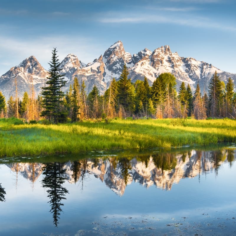 Yellowstone national park