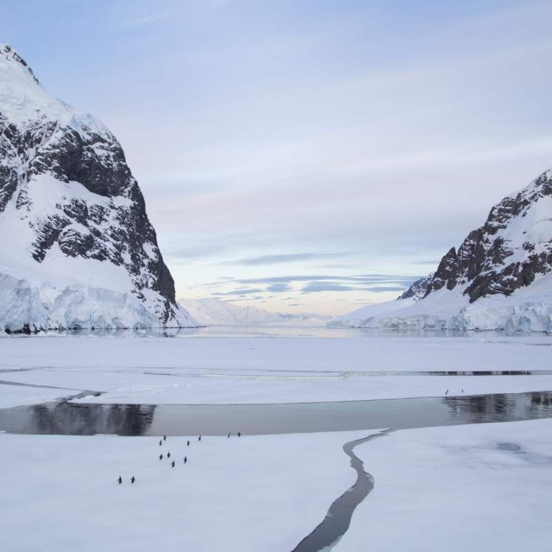 Ice and Mountains 