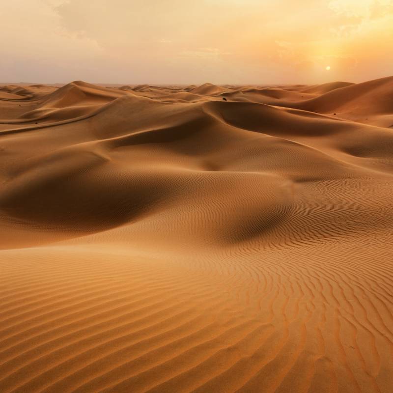 Sand Dunes 
