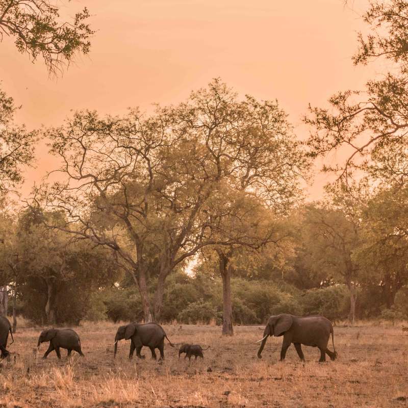 Kafunta River Lodge- 11
