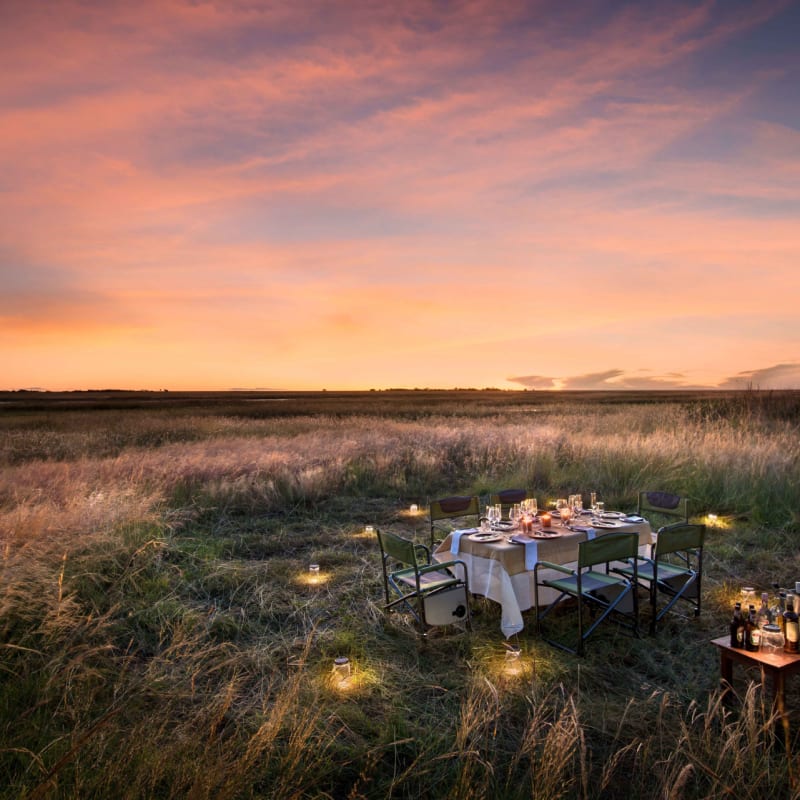 Bush dinner 