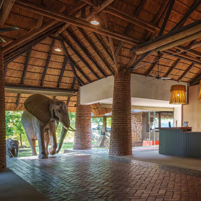 Mfuwe Lodge- 12