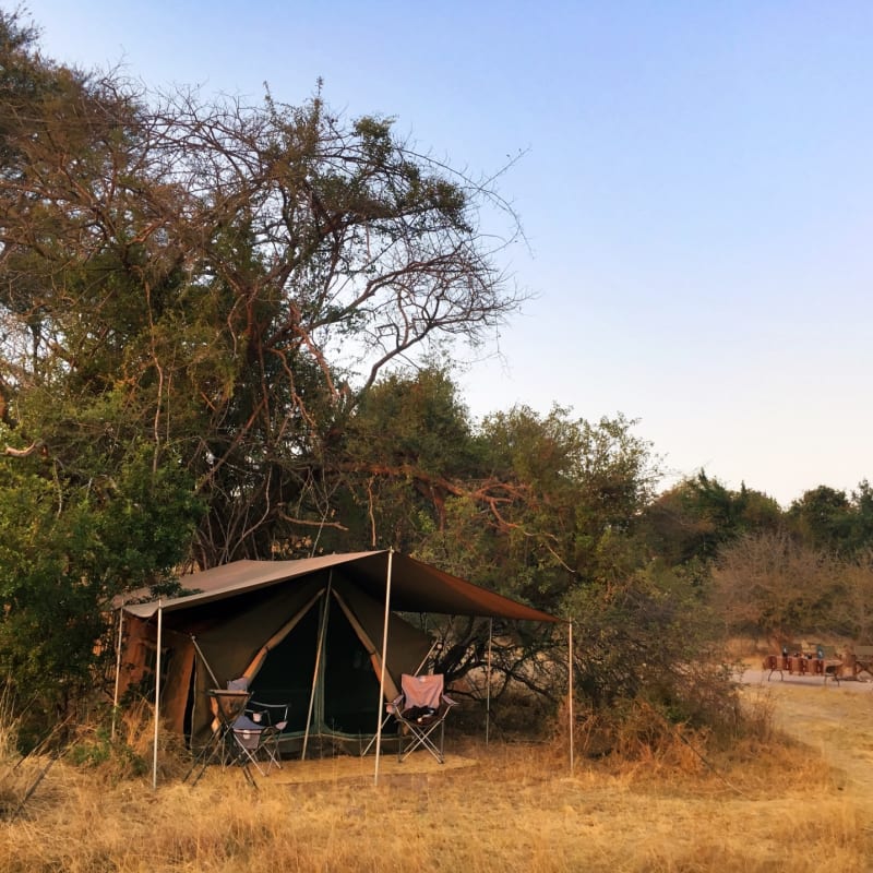 Fly-camping - Ntemwa Busanga Camp