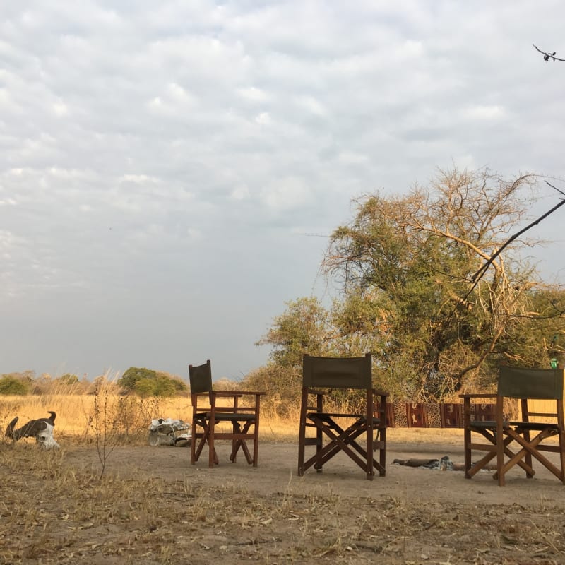 Bush dining - Ntemwa Busanga Camp