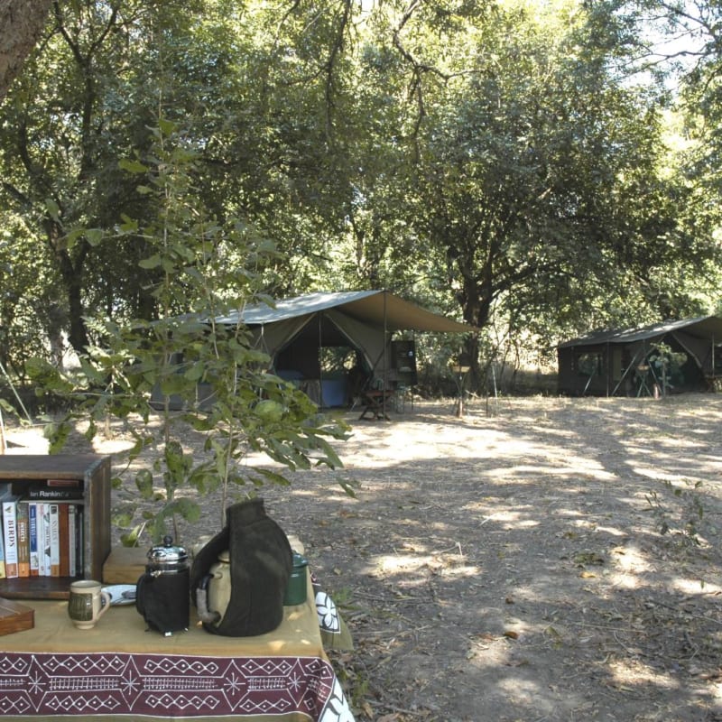 Camp grounds - RPS Mobile Camp