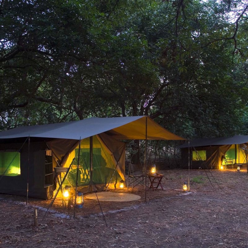 Camp at night - RPS Mobile Camp