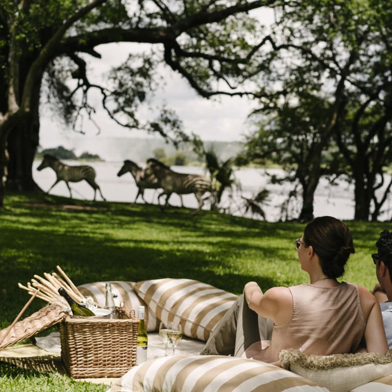 Picnic on grounds 