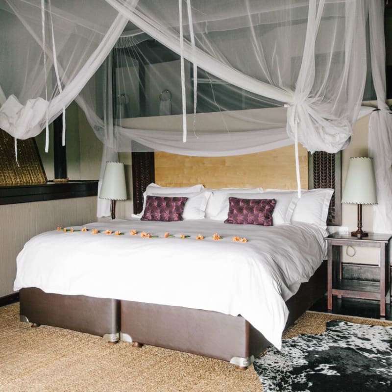 Chalet - Chilo Gorge Safari Lodge