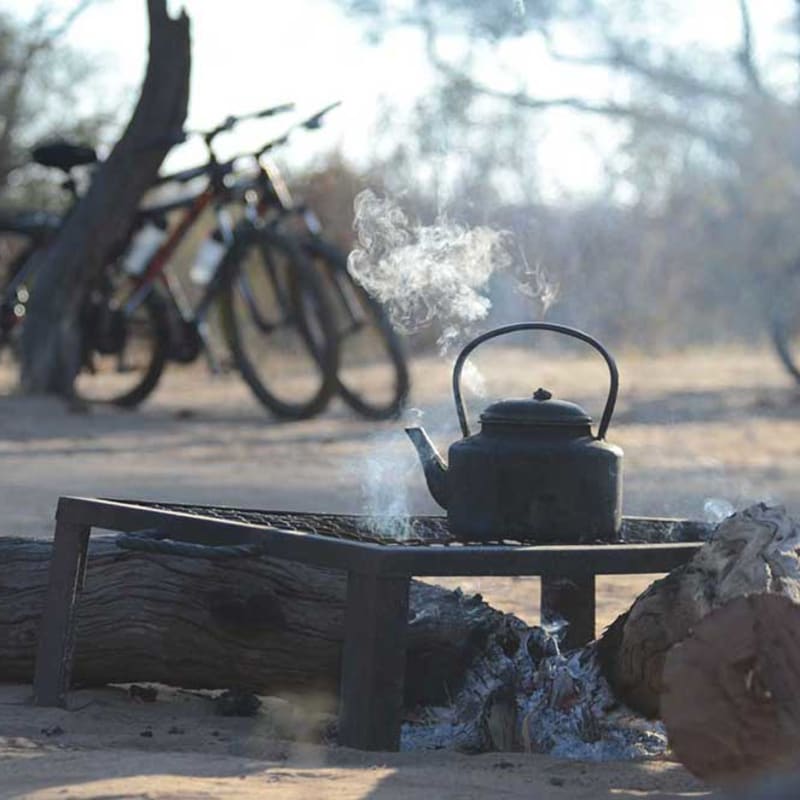 Campfire 