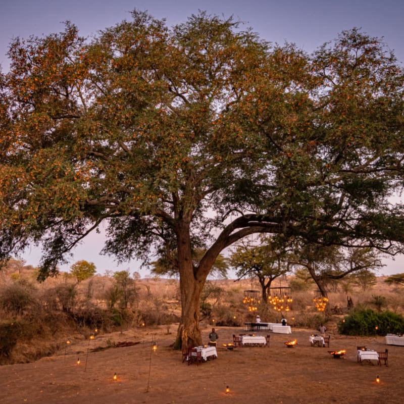 bush dinner 