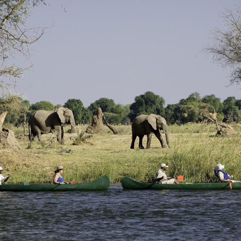 Canoeing on the Zambezi River - Rukomechi Camp
