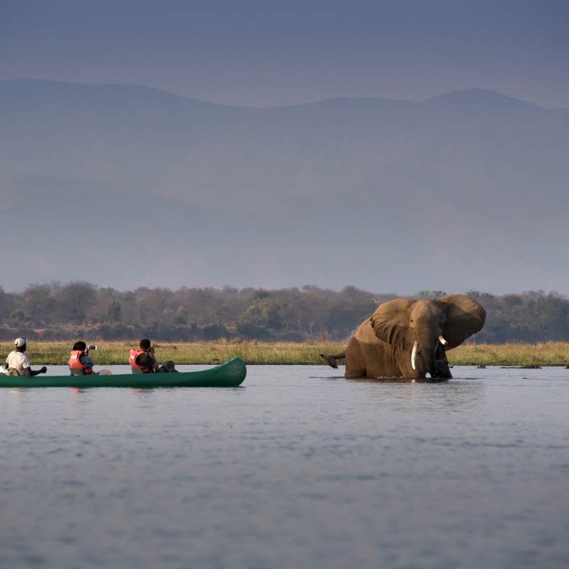 Zambezi Expeditions
