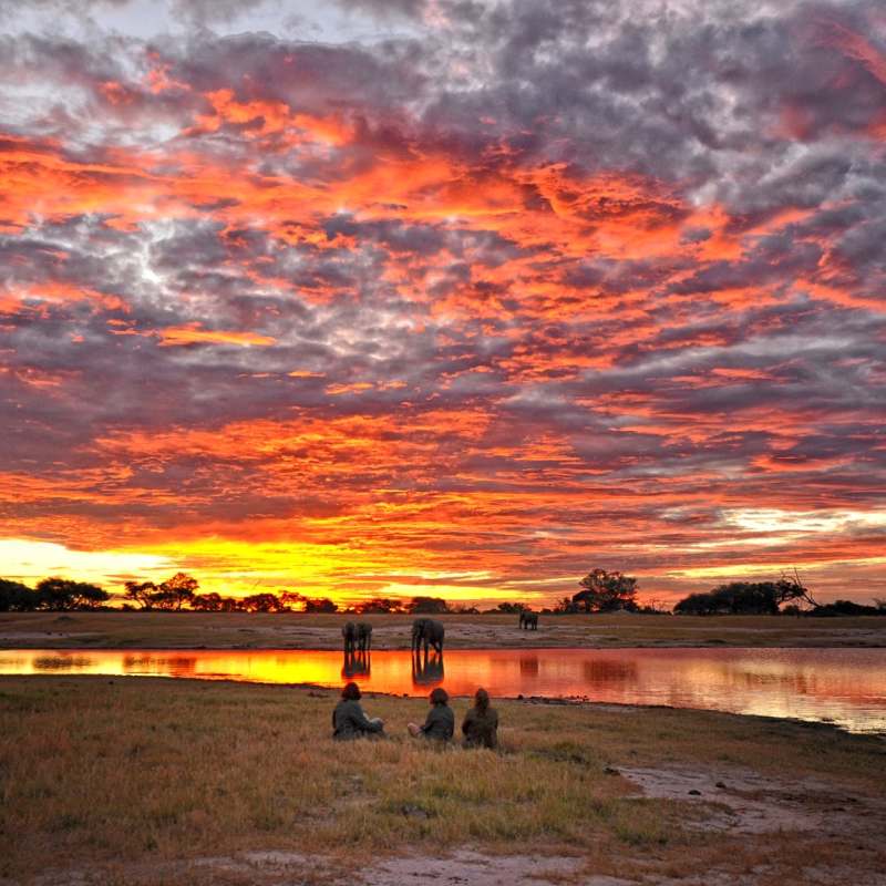 Sunset in Hwange