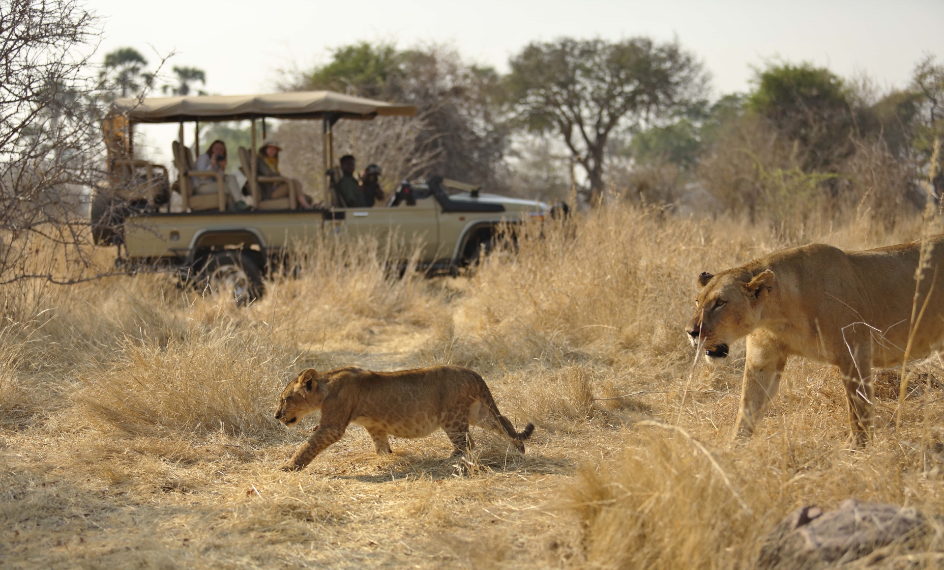 Tanzania Uncovered 