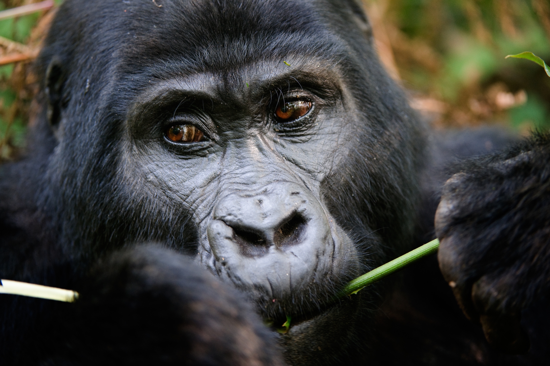Family Fun in Uganda and Kenya 