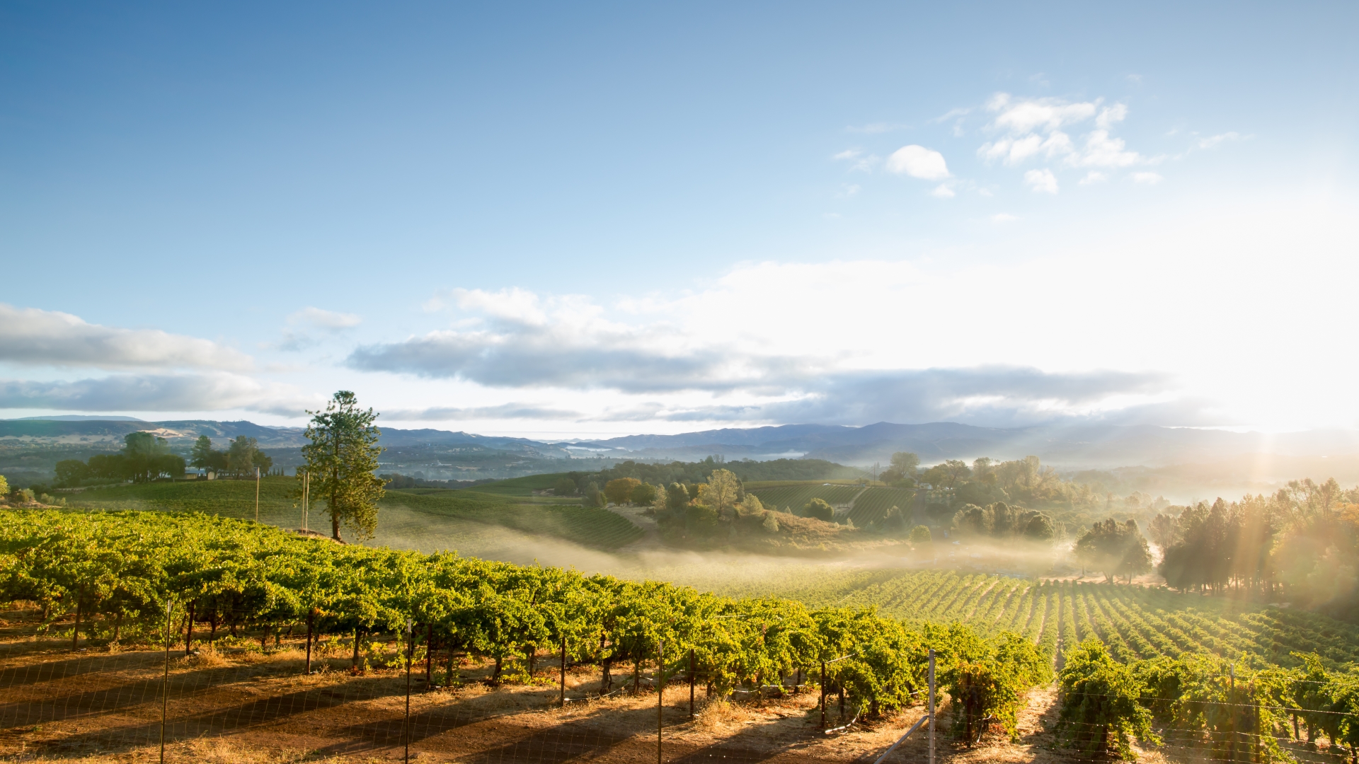 Best of Northern California 