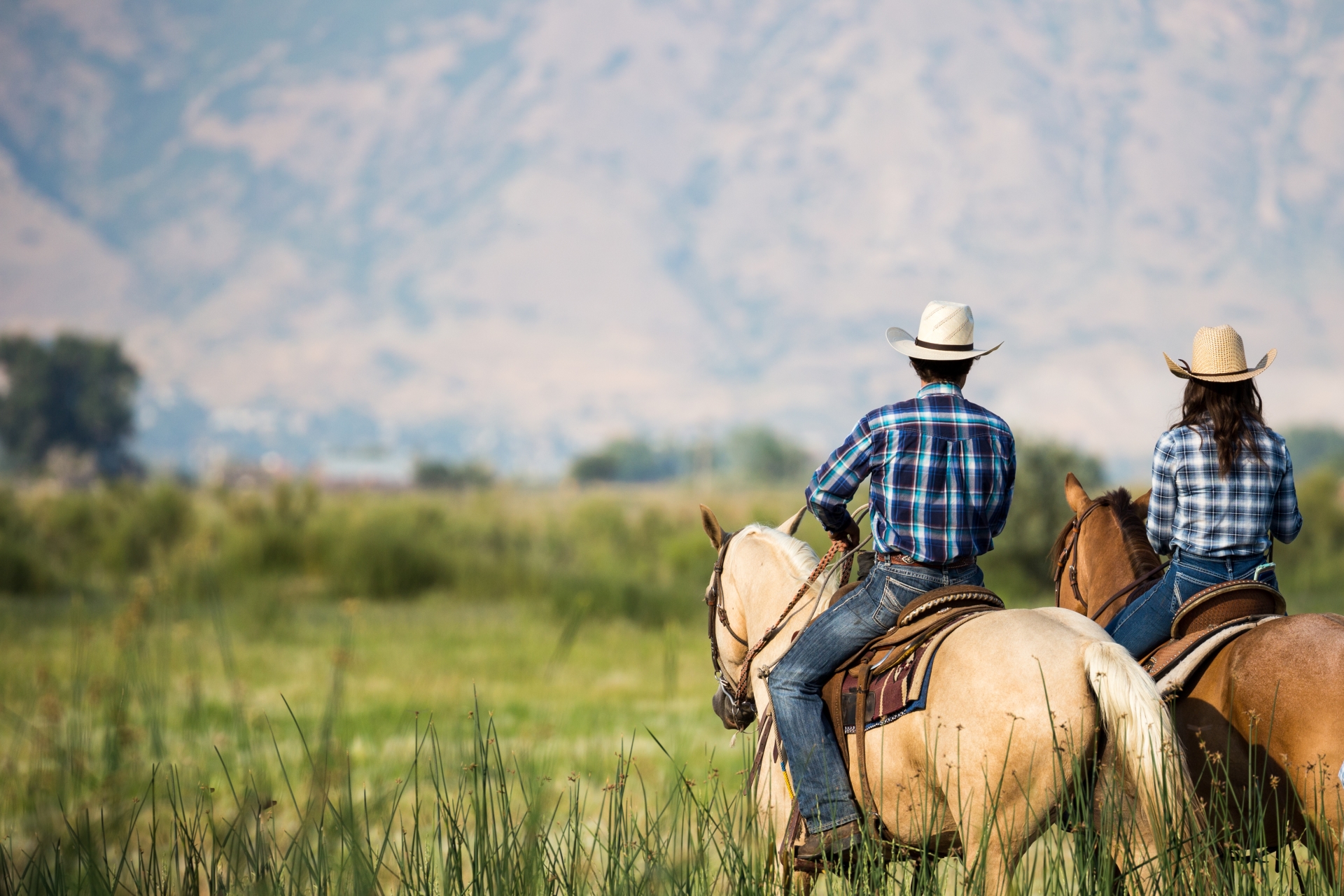 Perfect Pairings: Jackson Hole & Yellowstone 