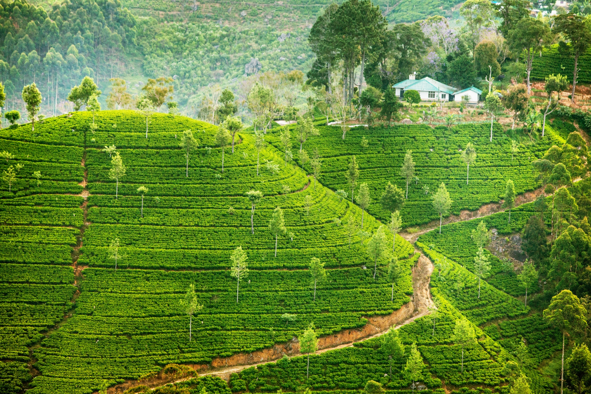 Epic Sri Lanka
