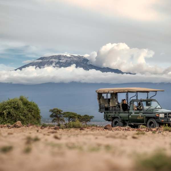 Which Safari is Best for you