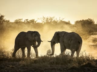 Botswana for Families