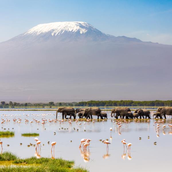 Kenya