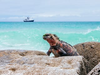 Ecuador