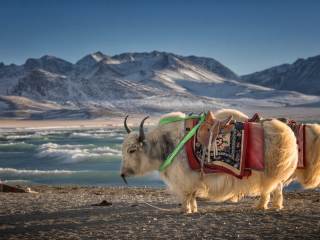 Tibet | Personalized Vacations to China | Scott Dunn US