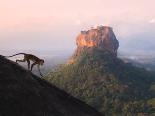 Sri Lanka