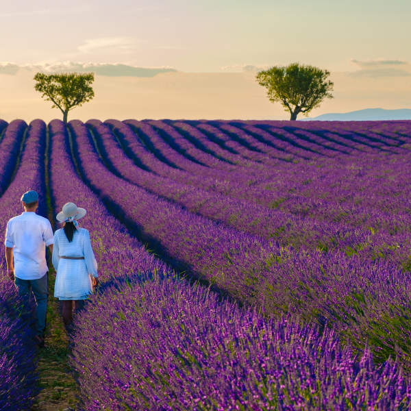 Luxury France Holiday Guide