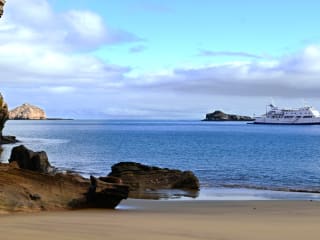 Galapagos Islands Cruise Charters