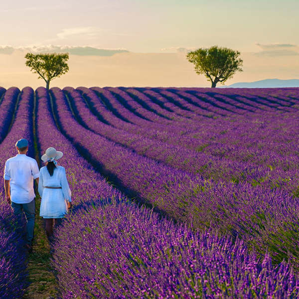 France Honeymoons