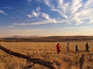 Walking Holidays