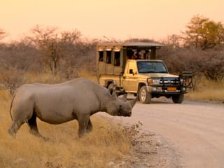 Top 10 Safaris