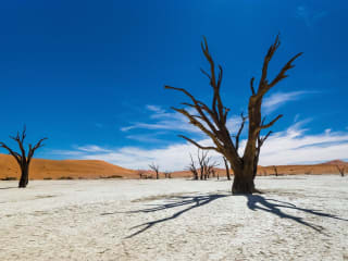 Destination guide: Namibia