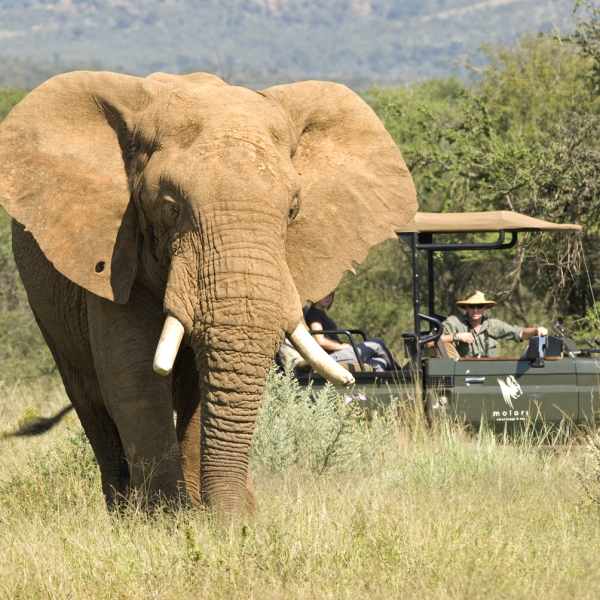 Africa family safari