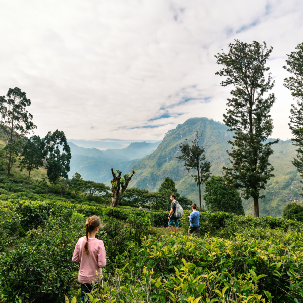 Sri Lanka for Families