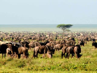 Local culture in Tanzania