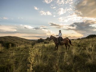 El Balcon Del Abra - Horse Riding 