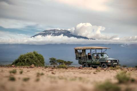 Which Safari is Best for You?