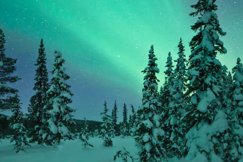 Sweden
