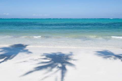 The Zanzibar Collection