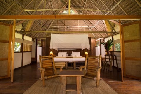 Amazonica Suite