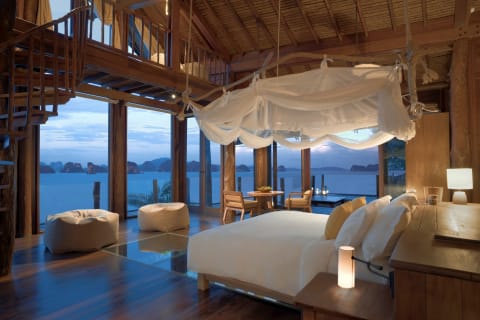 The View