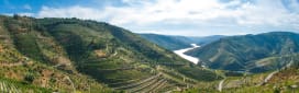 A Discovery of Portugal