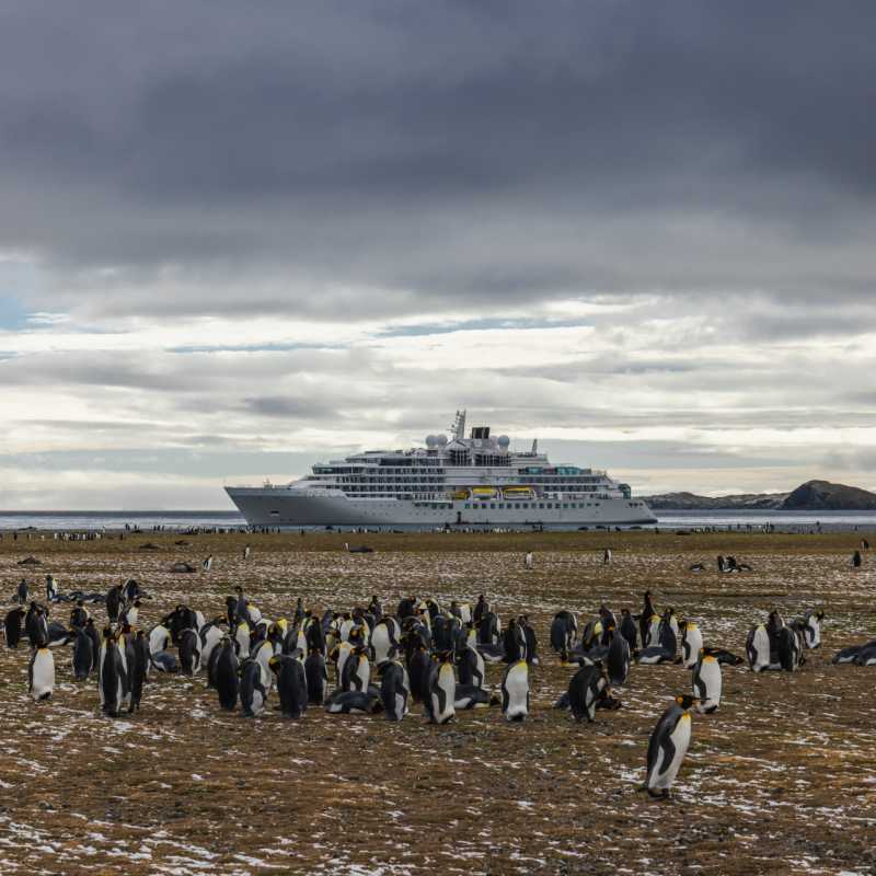 Exterior with penguins