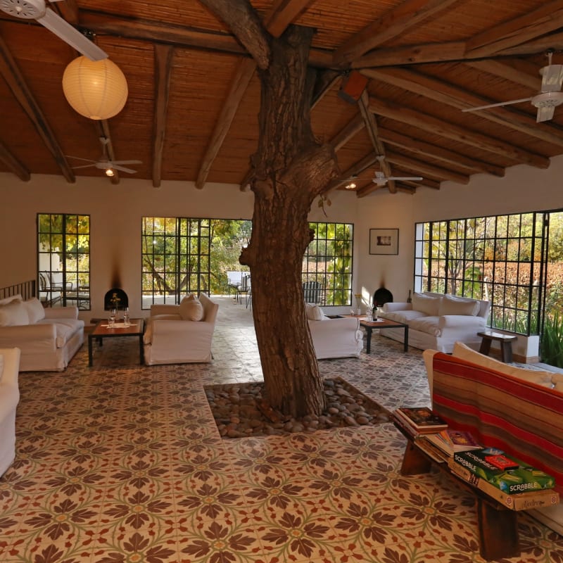 Wine Lounge - Finca Adalgisa