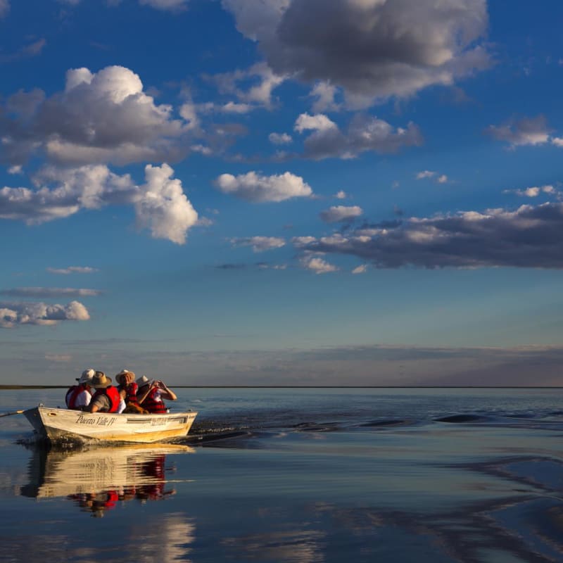 Boat trip - Puerto Valle