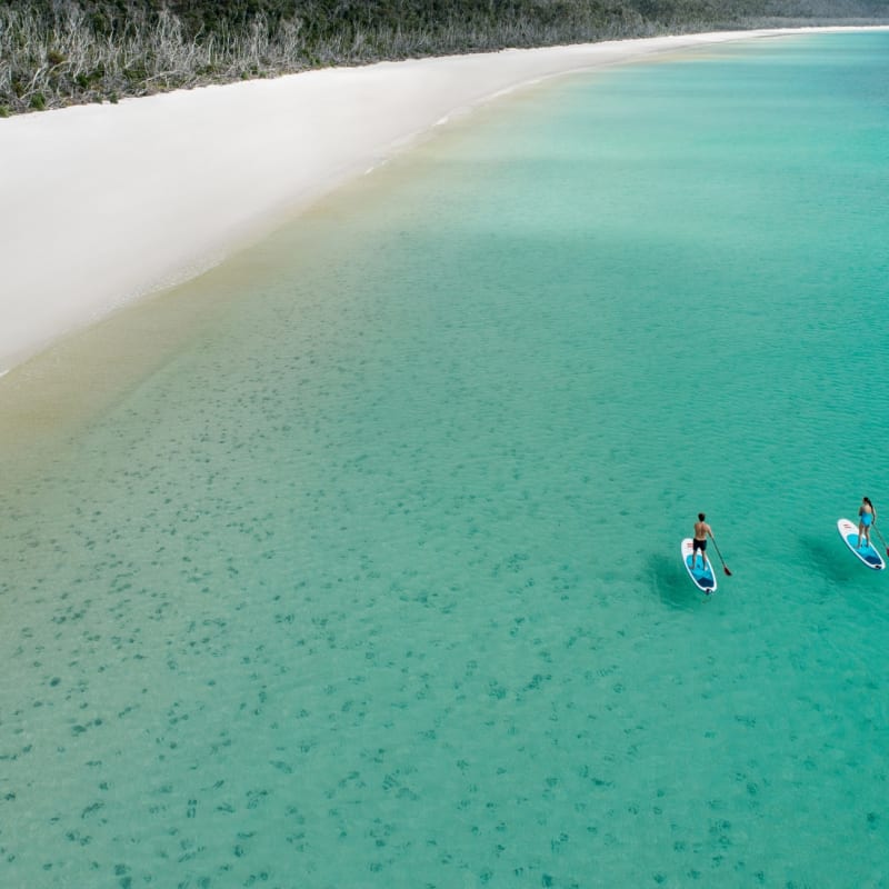 Paddle Boarding
